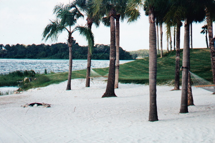 Hammock connected to palm trees on a lazy beach