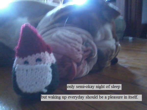 Sleepy gnome