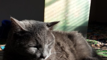 Ashford and Valtari.jpg