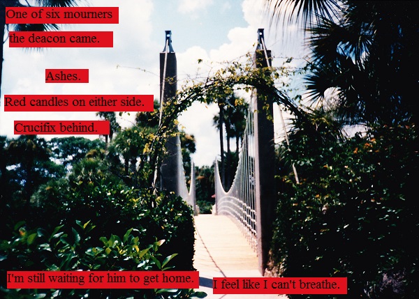 Fancy bridge at a Florida resort