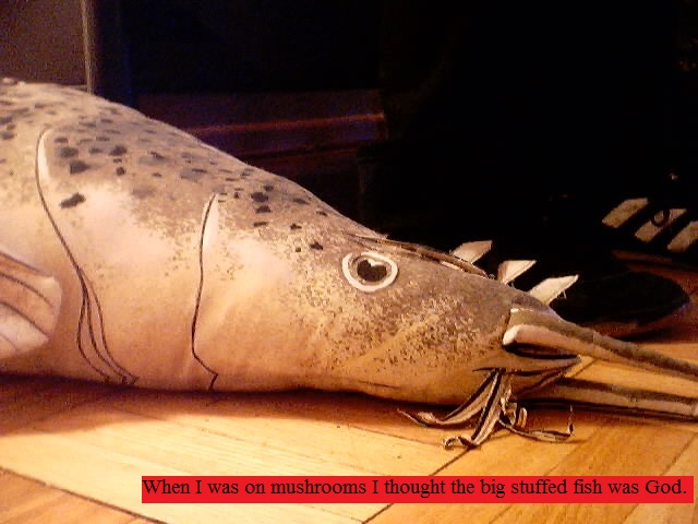 giant stuffed fish