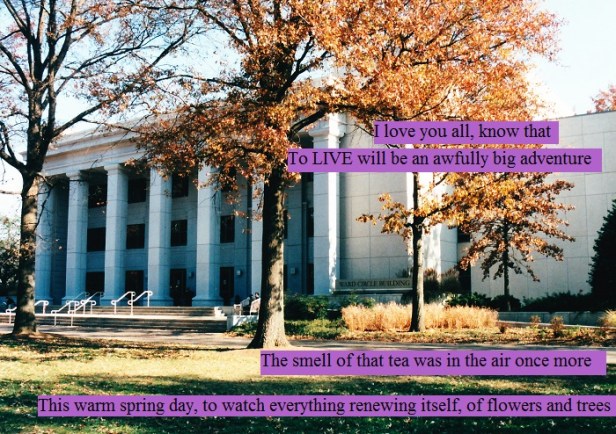Renewal on the campus of American University