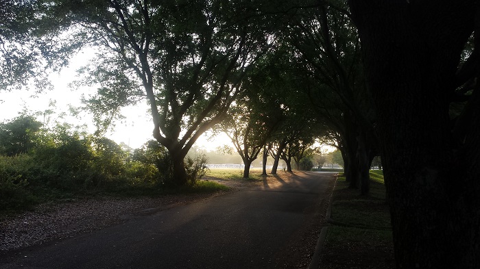 Walking in Orlando at 7am
