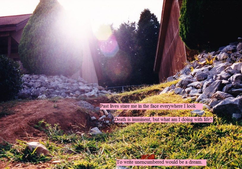 The sun shining on the hill of rocking grass