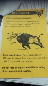 Warning handout at Yellowstone