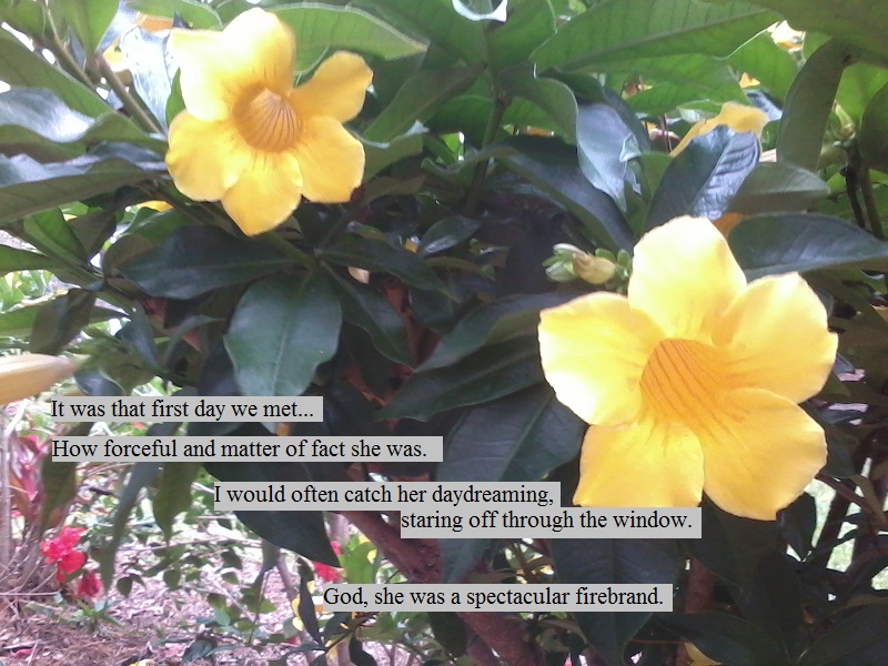 God, she was a firebrand