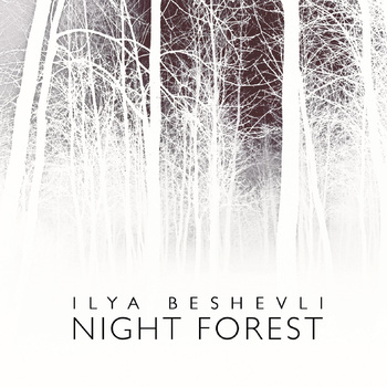 Cover of Ilya Beshevli's album Night Forest