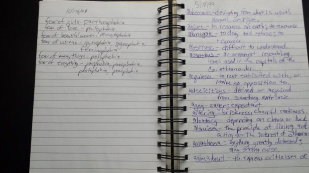 Page of my high school journal highlighting fears I had