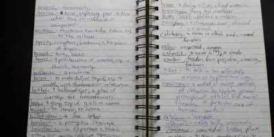 Note on the dictionary from my journal