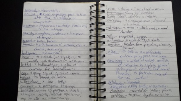 Note on the dictionary from my journal