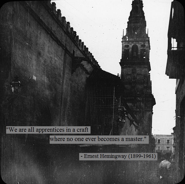"We are all apprentices in a craft where no one ever becomes a master." Ernest Hemingway