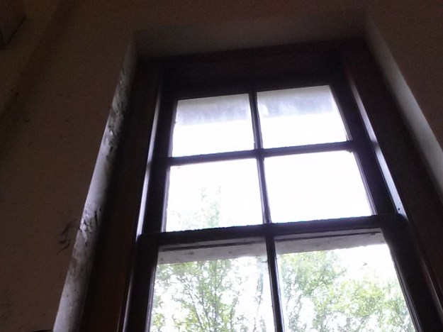 Words go out the window like trapped flies