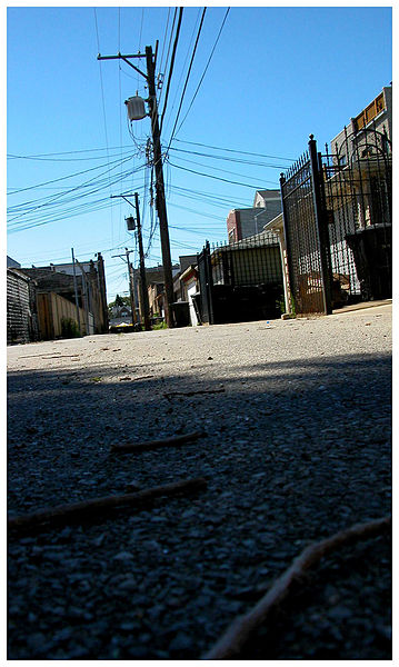 Chicago_Alley,_August_2006