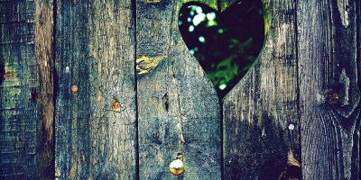 Heartwood Literary Magazine