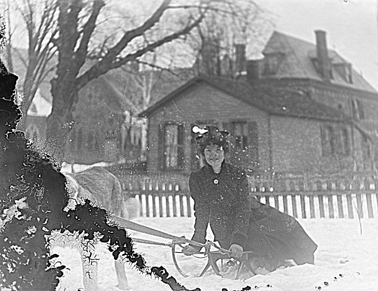 Where can one go on a sled these days?