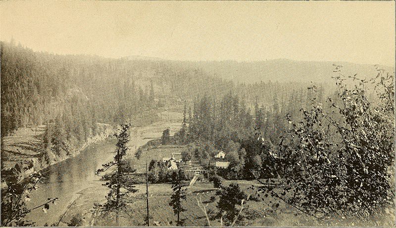 Black and white woods with river