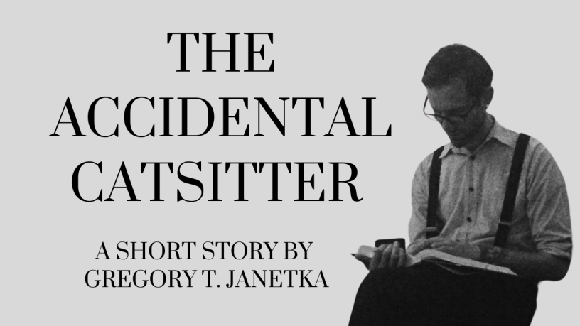 The Accidental Catsitter