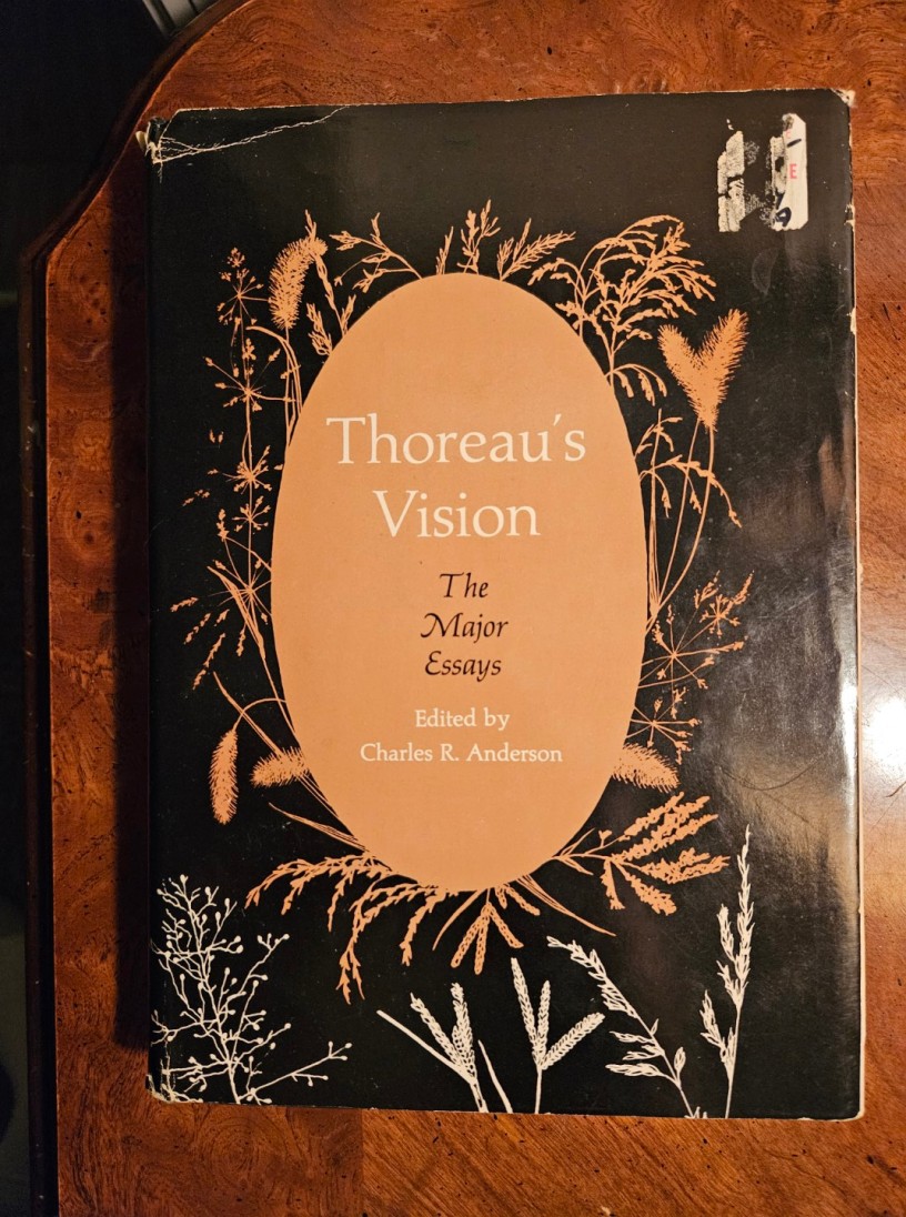 Thoreau's Vision: The Major Essays